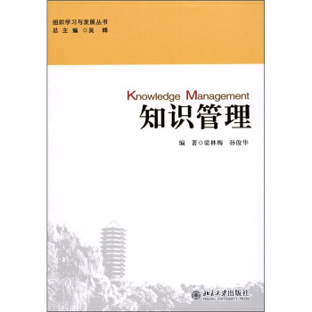 知識管理 pdf epub mobi 下载