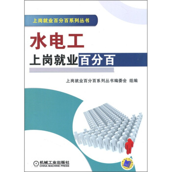 水电工上岗就业百分百 pdf epub mobi 下载