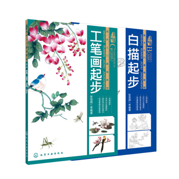 美术入门基础教程 白描起步+工笔画起步 张恒国著 工笔画教程书籍 美术工笔画书籍 国画初 pdf epub mobi 下载