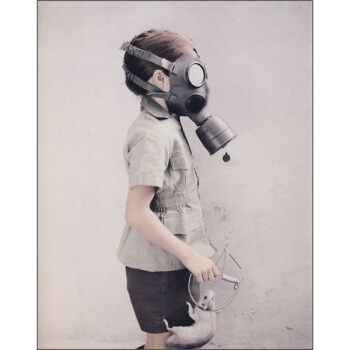 影子的炼金术：第3届连州国际摄影年展 pdf epub mobi 电子书 下载