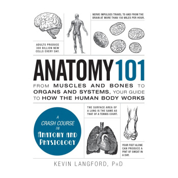 101係列:解剖學 英文原版 Anatomy 101 Kevin Langford PHD