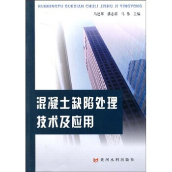 混凝土缺陷处理技术及应用 pdf epub mobi 下载