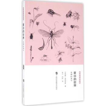 夏日的世界 pdf epub mobi 下载