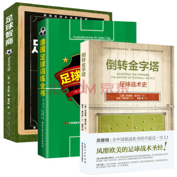 倒轉金字塔:足球戰術史+德國足球訓練全書(全新修訂第6版)+足球智商套裝3冊 pdf epub mobi 電子書 下載