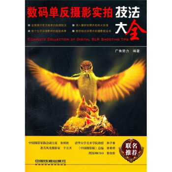 数码单反摄影实拍技法大全 pdf epub mobi 下载