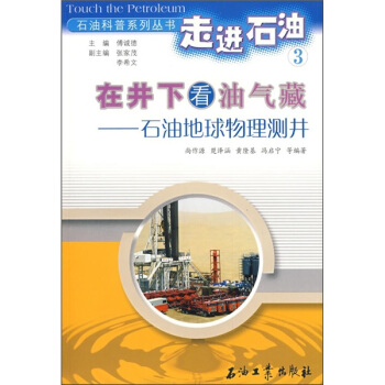 在井下看油气藏：石油地球物理测井 pdf epub mobi 下载