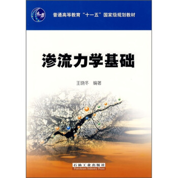 滲流力學基礎 pdf epub mobi 下载