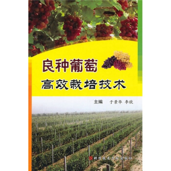 良種葡萄高效栽培技術 pdf epub mobi 下载
