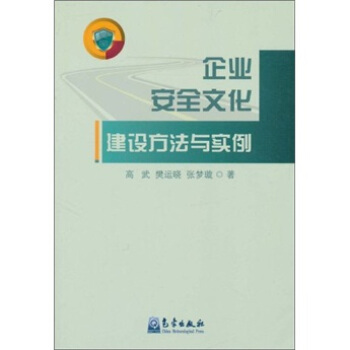 企业安全文化建设方法与实例 pdf epub mobi 下载