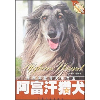 阿富汗猎犬 pdf epub mobi 下载