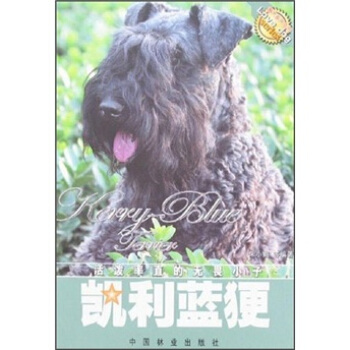 凯利蓝 pdf epub mobi 下载