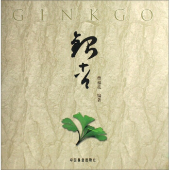 銀杏（精） pdf epub mobi 下载