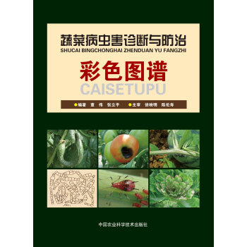 蔬菜圖譜 蔬菜病蟲害診斷與防治彩色圖譜 董偉 圖譜近2韆幅、韆餘種病蟲 pdf epub mobi 下载