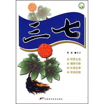 三七 pdf epub mobi 下载