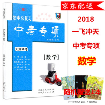 2018版 一飛衝天 初中總復習 天津中考專項 數學 天津版 pdf epub mobi 下载
