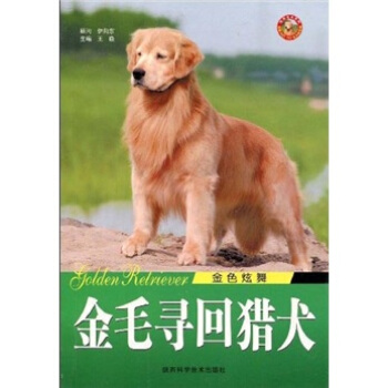 金色炫舞：金毛寻回猎犬 pdf epub mobi 电子书 下载