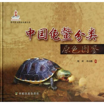 中國龜鱉分類原色圖鑒 周婷李丕鵬 科技 書籍