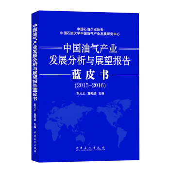 中国油气产业发展分析与展望报告蓝皮书(2015-2016) pdf epub mobi 下载