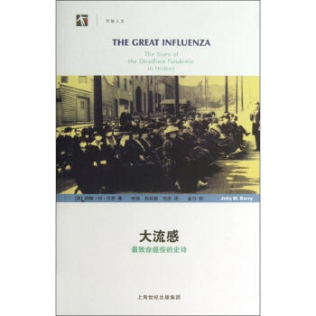 大流感 pdf epub mobi 下载