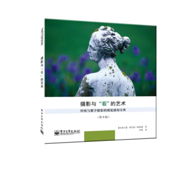 摄影与“看”的艺术 pdf epub mobi 下载