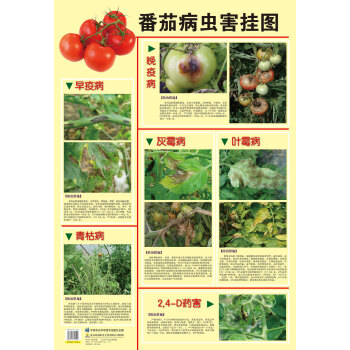 蔬菜病蟲害診斷與防治彩色掛圖(共6張)