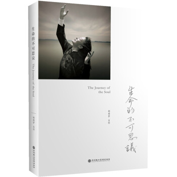 生命的不可思议：胡因梦自传 pdf epub mobi 下载