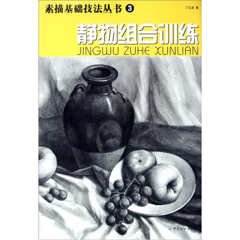 静物组合训练 pdf epub mobi 下载