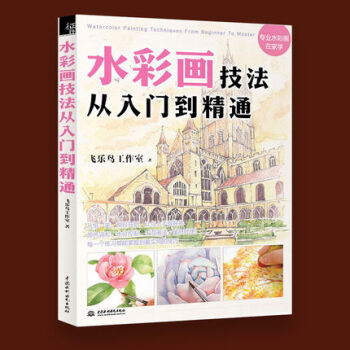 水彩画技法从入门到精通 飞乐鸟 水彩画教程 儿童少儿水粉画自学书 水彩画风景基础入门教材书 pdf epub mobi 下载