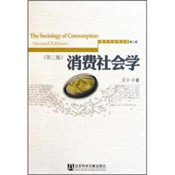 消费社会学（第2版） [The Sociology of Consumption(Second Edition)] pdf epub mobi 电子书 下载