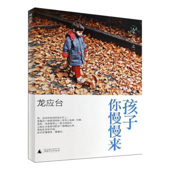 孩子你慢慢来 pdf epub mobi 下载
