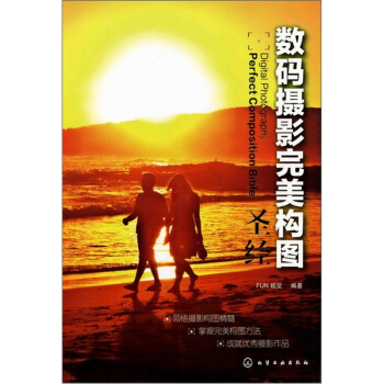 数码摄影完美构图圣经 pdf epub mobi 下载