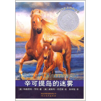 辛可提島的迷霧 [7-10歲] pdf epub mobi 下载