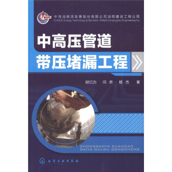 中高压管道带压堵漏工程 pdf epub mobi 下载