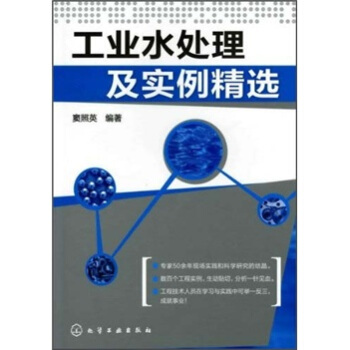 工业水处理及实例精选 pdf epub mobi 下载
