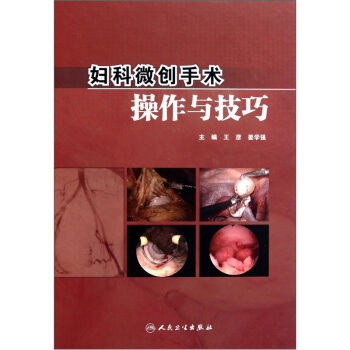 妇科微创手术操作与技巧（附光盘） pdf epub mobi 下载