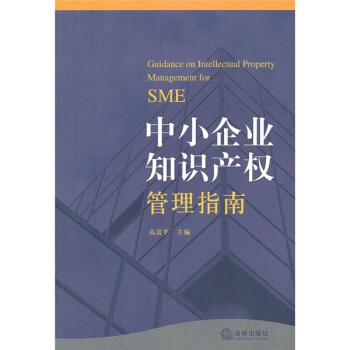 中小企业知识产权管理指南 [Guidance on Intellectual Property Management for SME] pdf epub mobi 下载