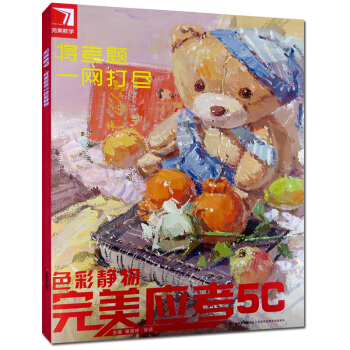 完美教学 色彩静物 完美应考5C 临摹教学 广州仓 pdf epub mobi 下载