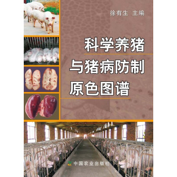 科學養豬與豬病防治原色圖譜 徐有生主編