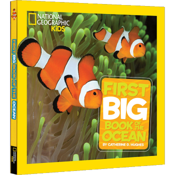 Little Kids First Big Book of the Ocean 美國國傢地理英文原版