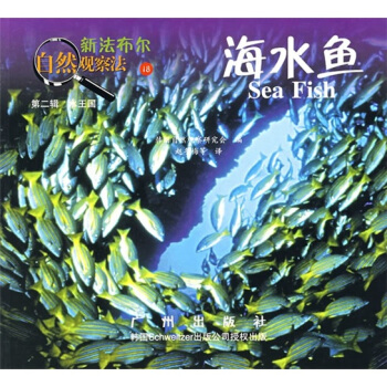 新法布爾自然觀察法18：海水魚（第2輯·水王國） [7-10歲] pdf epub mobi 下载