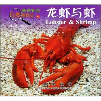 新法布爾自然觀察法24：龍蝦與蝦（第2輯·水王國） [7-10歲] pdf epub mobi 下载