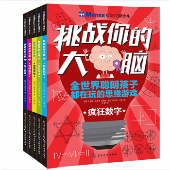 挑战你的大脑智力风暴 门萨少儿逻辑游戏 大脑开发思维训练 全套5册
