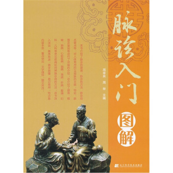 脉诊入门图解 pdf epub mobi 下载