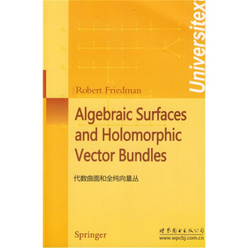 代數麯麵和全純嚮量叢 [Algebraic Surfaces and Holomorphic Vector Bundle] pdf epub mobi 下载