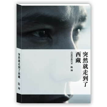 突然就走到瞭西藏 pdf epub mobi 下载