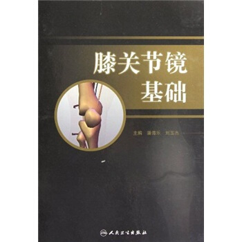 膝关节镜基础 pdf epub mobi 下载