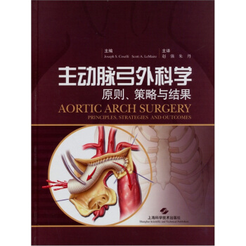 主动脉弓外科学：原则、策略与结果 pdf epub mobi 下载