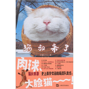 貓叔來瞭 pdf epub mobi 下载