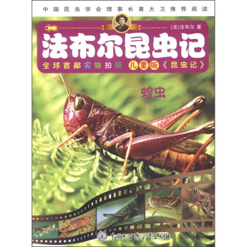 法布尔昆虫记：蝗虫（儿童版） [7-10岁] pdf epub mobi 下载