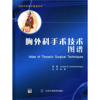 外科手術技術圖譜係列：胸外科手術技術圖譜 [Atlas of Thoracic Surgical Techniques] pdf epub mobi 下载